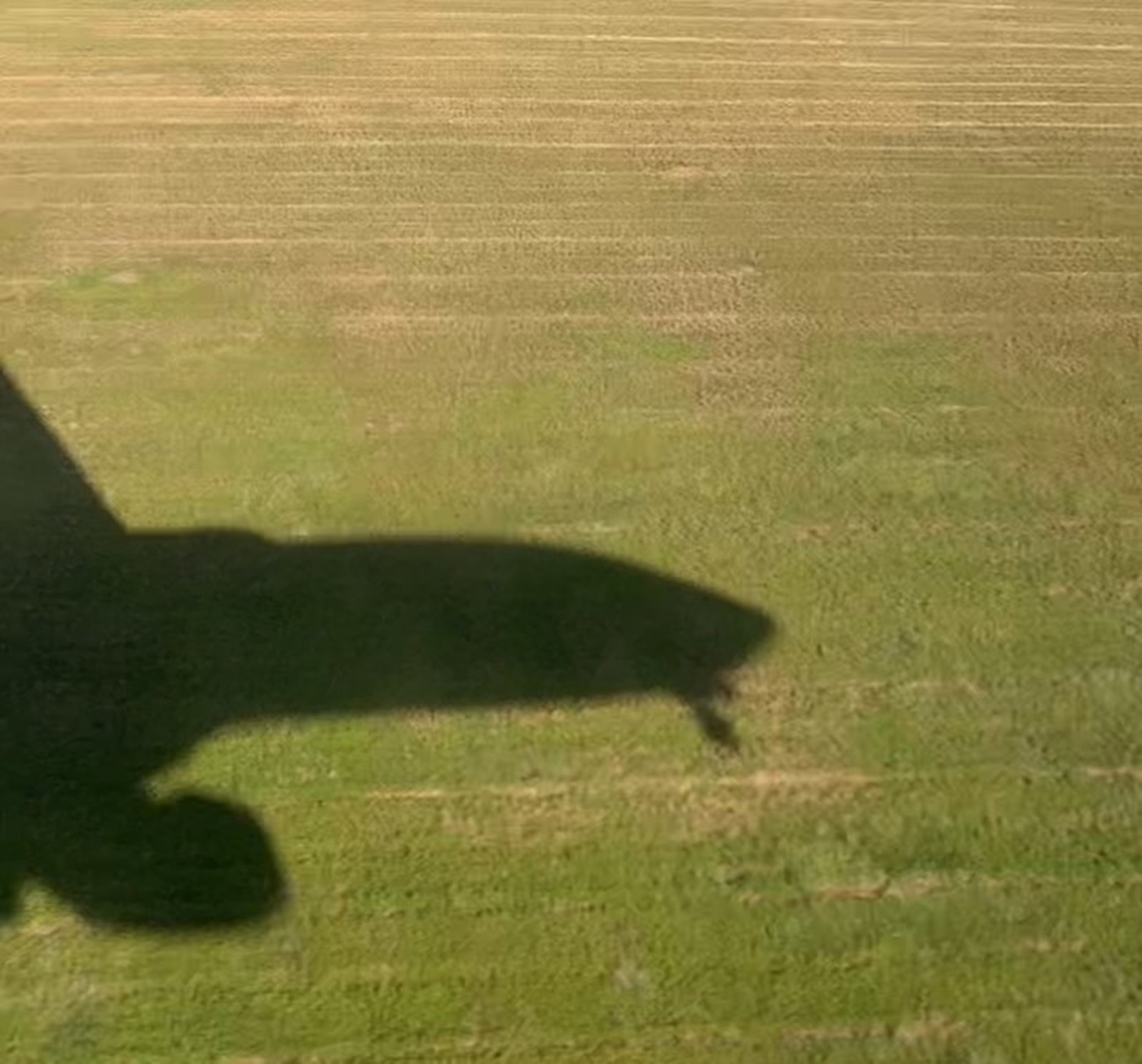 Breves de transporte y turismo, de acá y de allá