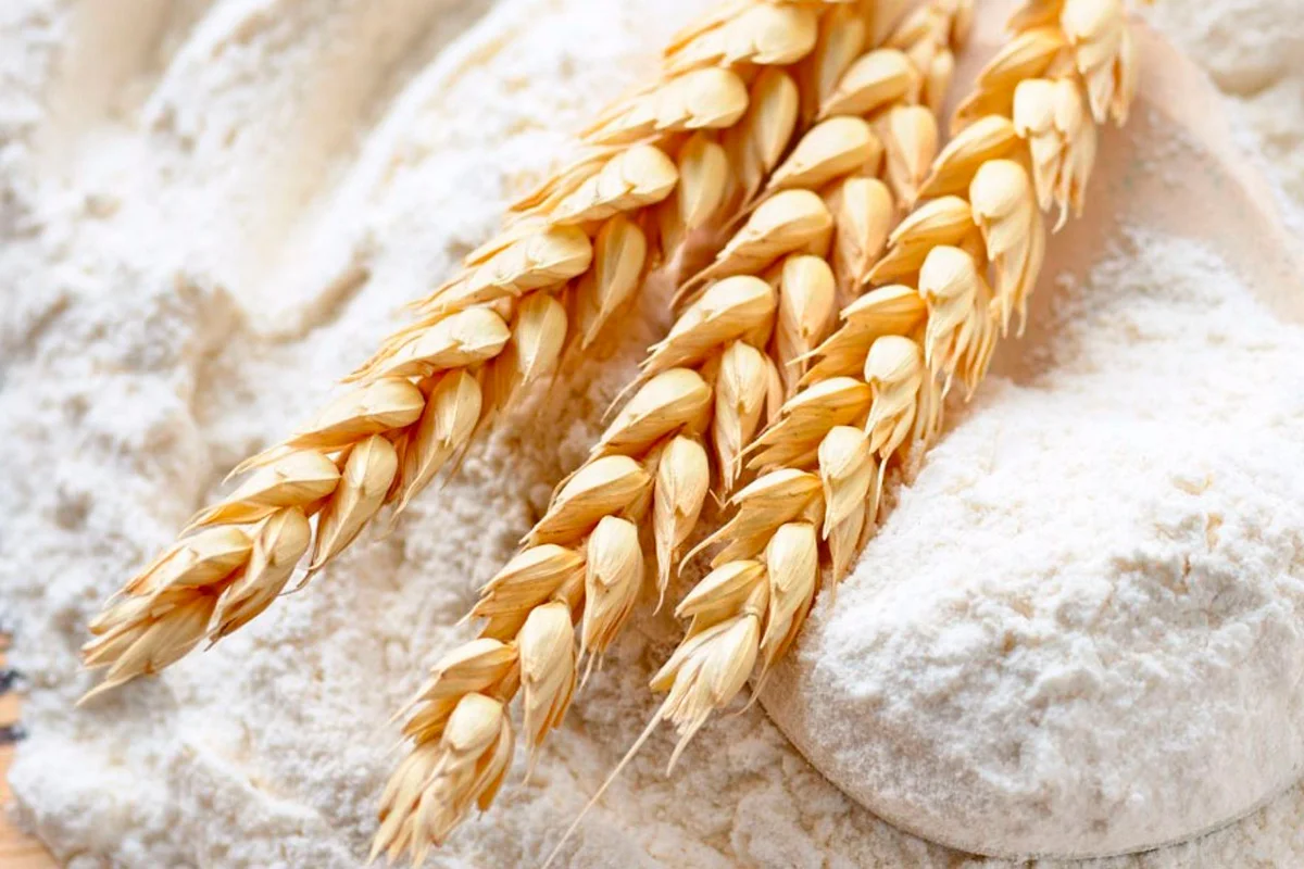 «Crisis de calidad»: La industria molinera alertó sobre la falta de trigo apto para la panificación